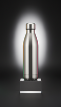 Stainless Steel Insulated Water Bottle